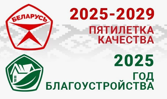 Выборы 2025